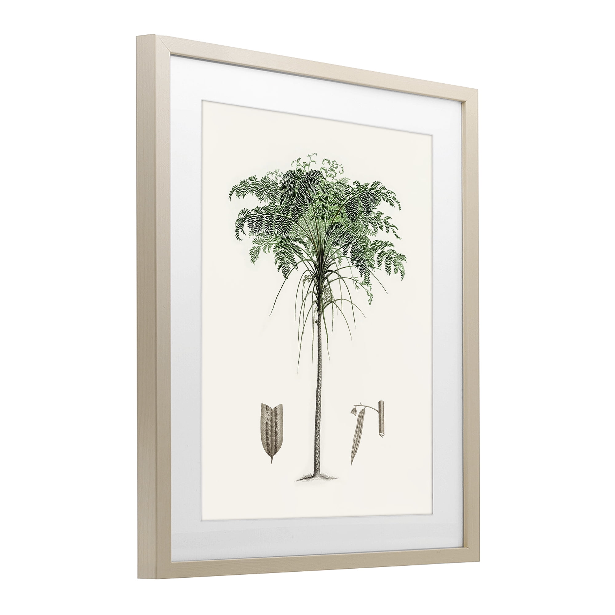 Stupell Industries Vintage Palm Leaves Birch Framed Print Under Glass, design by Val Rhodes