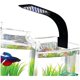 thumbnail image 4 of Luz LED con clip para acuario, luz para pecera con LED blancos y azules, luz LED pequeña para acuario de agua dulce, 4 of 5