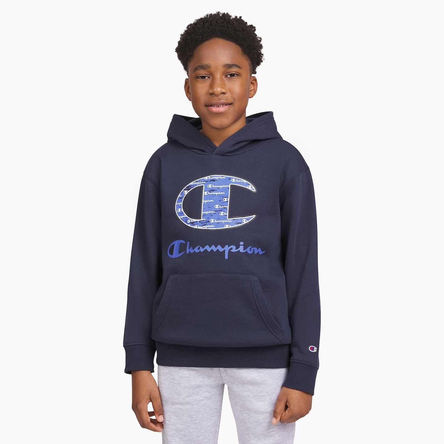 Champion Adult Sizing Iconic Embroidered Hoodie Gray Blue