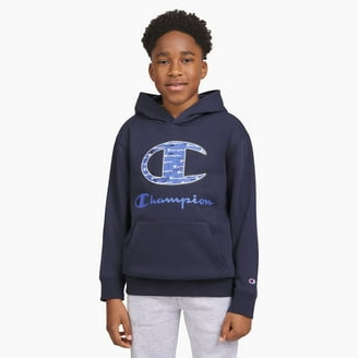 Champion Adult Sizing Iconic Embroidered Hoodie - Gray Blue