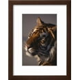 thumbnail image 2 of Bengal Tiger, Animals Framed Art Print Wall Art by DLILLC Sold by Art.Com, 2 of 6