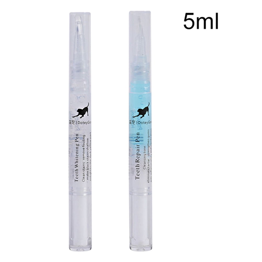cat toothbrush kit