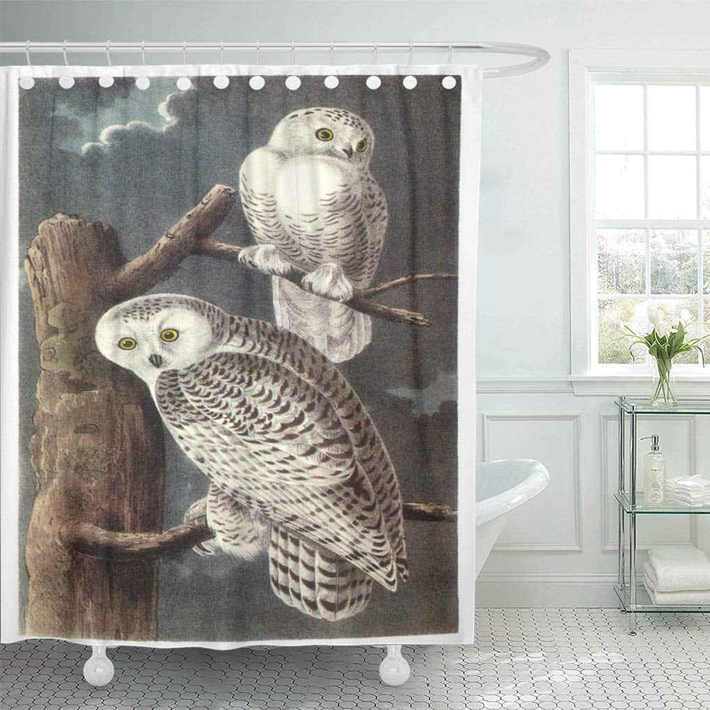 YUSDECOR Bird Snowy by Audubon Small Flower Branch Tree Wing Bathroom Decor Bath Shower Curtain 10x10 inch
