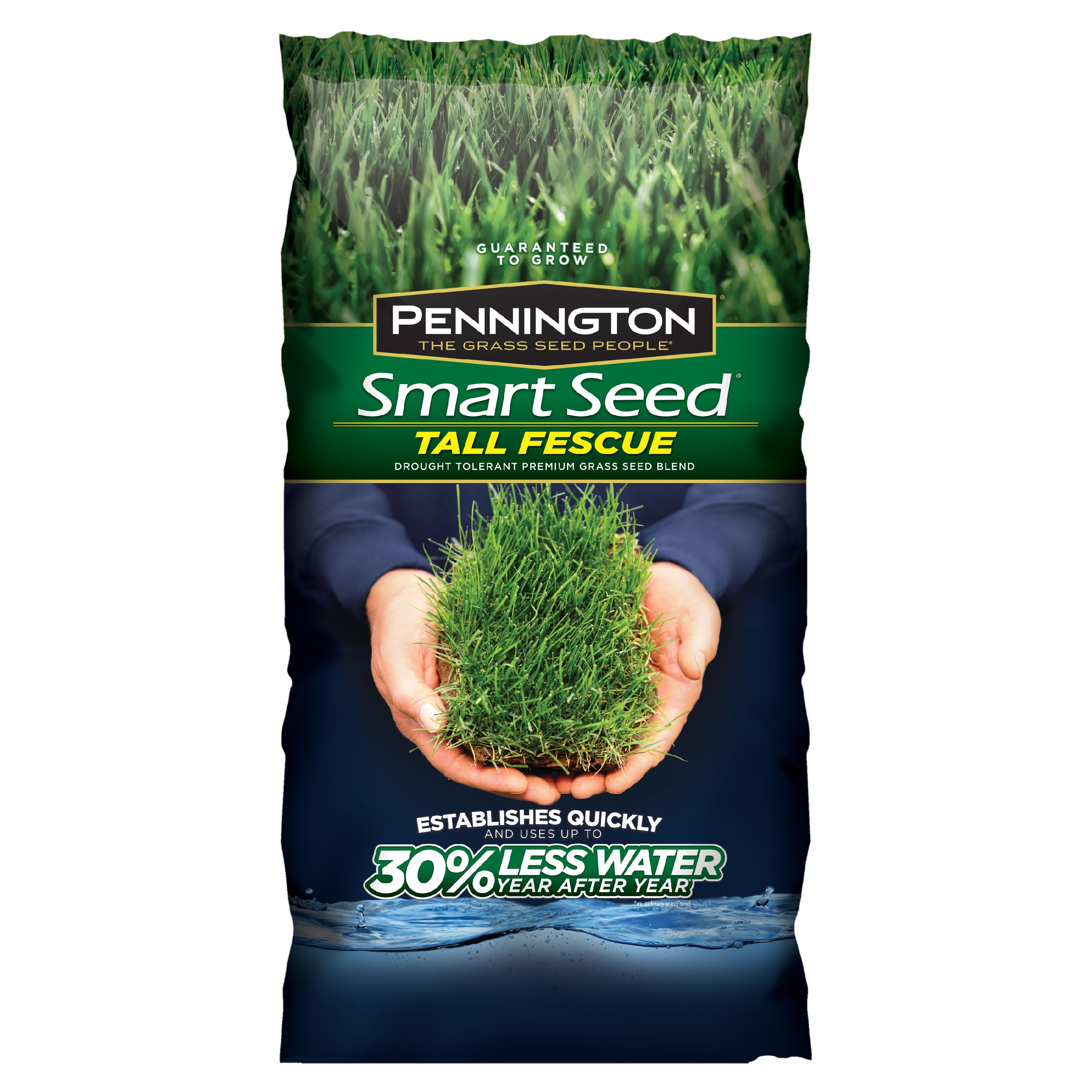 Pennington Smart Seed Tall Fescue Grass Seed, 20 lbs