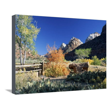 View from Visitor Centre to Peaks Above Zion Canyon in Autumn, Zion National Park, Utah, USA Stretched Canvas Print Wall Art By Ruth