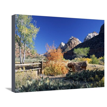 View from Visitor Centre to Peaks Above Zion Canyon in Autumn, Zion National Park, Utah, USA Stretched Canvas Print Wall Art By Ruth (Best Views In Zion)