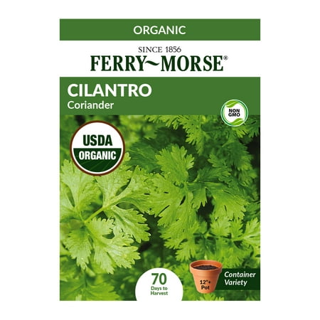 Ferry-Morse Organic 130MG Cilantro "Coriander" Herb Plant Seeds (1 Pack)- Seed Gardening, Full Sunlight