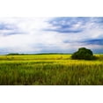 thumbnail image 2 of Alan Hausenflock 14x11 White Modern Wood Framed Wall Art Titled - Marshland Storm II, 2 of 5