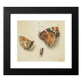 thumbnail image 2 of Giovanna Garzoni 23x20 Black Modern Framed Museum Art Print Titled - Two Butterflies and Another Insect, 2 of 5