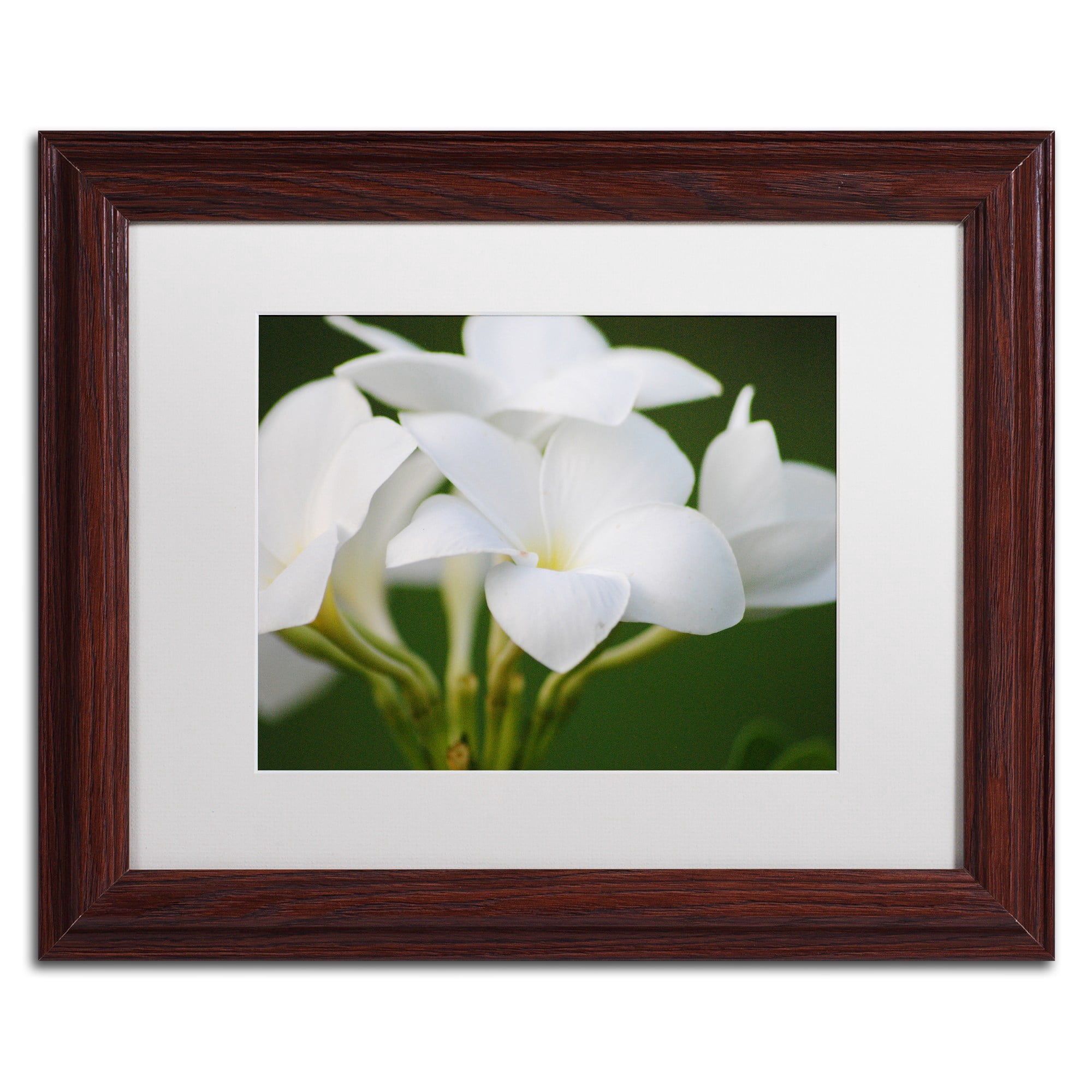 Trademark Fine Art "Picture Perfect" Canvas Art by Monica Mize, White Matte, Wood Frame