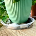 thumbnail image 4 of house plant accessories, plant trays to catch water - Loetky 1PC Clear Plastic Plant Saucer Tray for Indoor and Outdoor Pots, Deep Drip Catcher for Windowsill, Desk and Balcony, 12.5"x12.5", 4 of 9