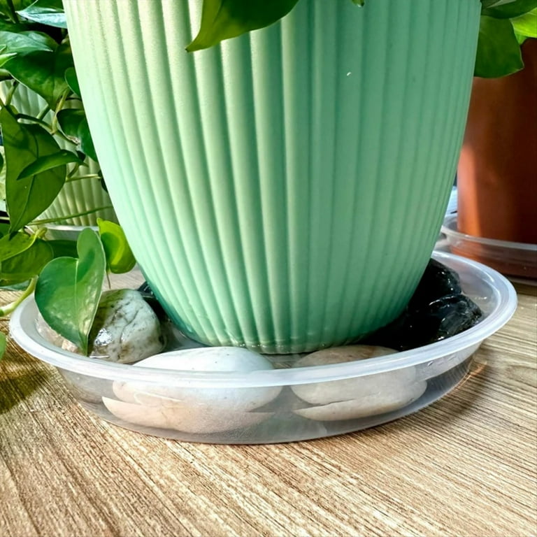 12 Inches Clear Plastic Plant Saucer Drip Trays Large Plant Plate Dish for  Indoor Flower Pots and Planters,Large Plant Saucer Dishes for Indoor Flower  ...