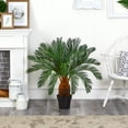thumbnail image 3 of Nearly Natural 3' Cycas Artificial Tree, Green, 3 of 4