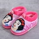 thumbnail image 1 of Nueva bolsa de pantuflas de algodón para niños de Disney con lindo invierno casa antideslizante niño niña niño algodón shoes26-27-Insole 165mm Gao Jinjia LED, 1 of 2
