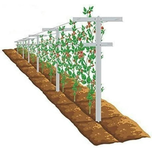 Grape Vine Trellis 7ft Tall 3pcs Set for Raspberry and Grape , Heavy Duty, Easy to Install Vineyard Trellis, Fiberglass Rust-Proof, 3Trellises