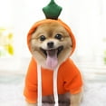 thumbnail image 7 of TELOLY Dog Sweaters for Small Dogs Casual Pets Dog Clothes Warm Coat Jacket Clothing for Dogs Small Dog Sweater (Orange, S), 7 of 7