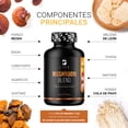 thumbnail image 3 of Complejo de Hongos B Life 90 Cápsulas Reishi Cordyceps Melena de Leon Chaga Cola de Pavo Maitake Shiitake Enoki Agaricus, 3 of 7