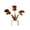 Brown Carnivorous Flower-A6, variant on 2026 Rustic Metal Coneflower Garden Stakes, Rusted Iron Flowers Yard Art, 30.7x4.72 Inch, Weather-Resistant Lawn Pathway, Patio Decor Echinacea