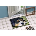 thumbnail image 2 of Carolines Treasures SS8596JMAT Entlebucher Mountain Dog Paillasson - 24 x 36 Po., 2 of 4