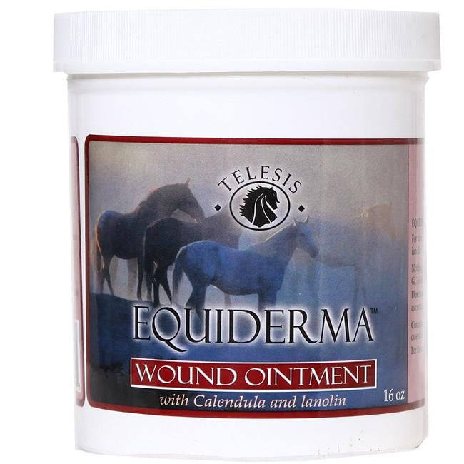 16 oz Calendula & Neem Wound Ointment for Horses