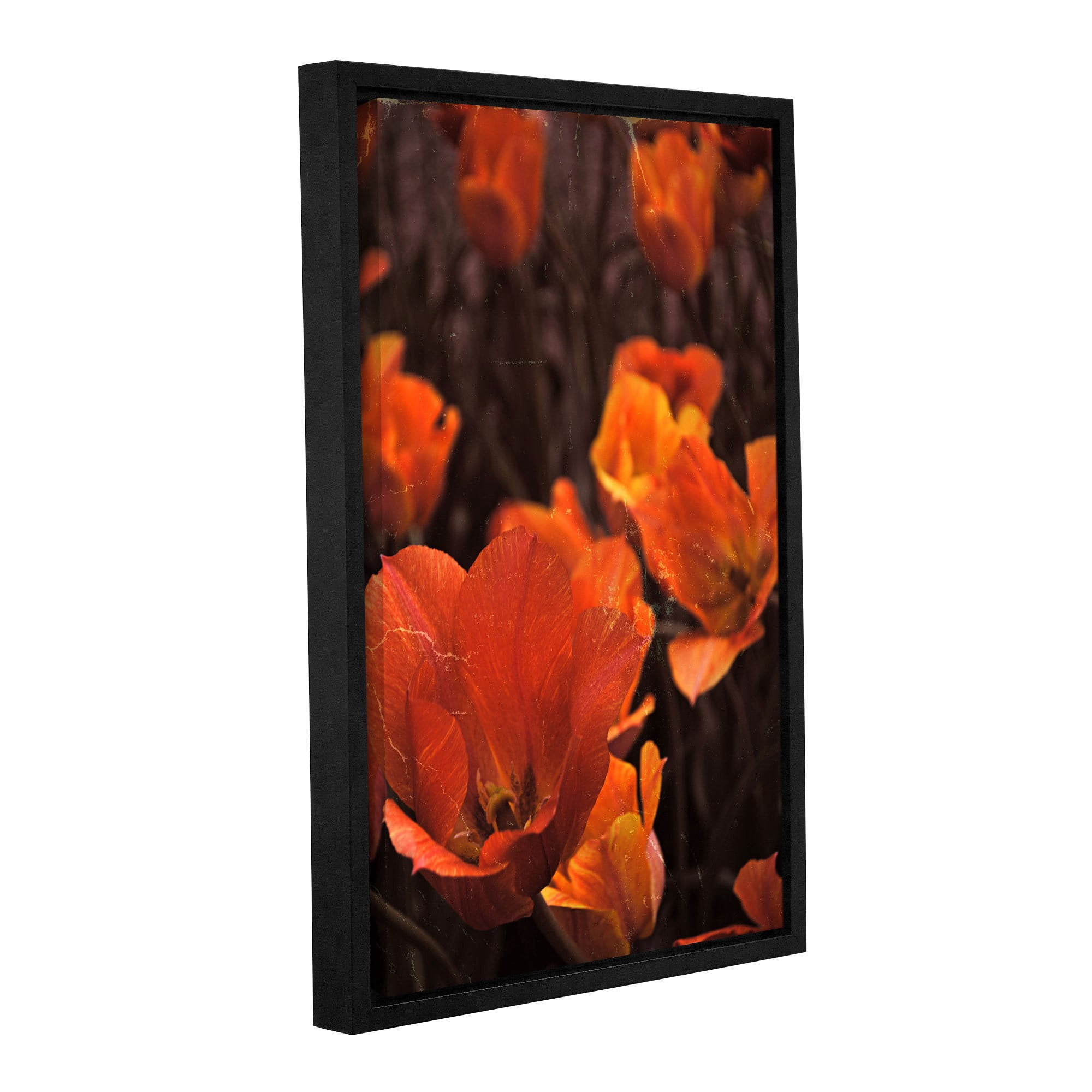 ArtWall Kevin Calkins "Orange Tulip Splendor" Gallery-Wrapped Floater-Framed Canvas