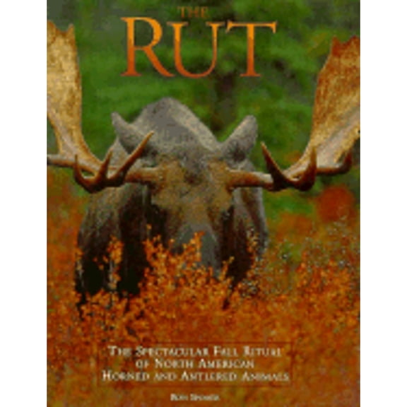 Rut : Spectacular Fall Ritual of North American Horned and Antlered Animals (Hardcover)