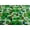 Multicolor, variant on KidCarpet.com Raceway Rug 4' x 6' Oval, Educational Kids Car Rug for Nursery, Classroom, Playroom, Bedroom, Daycare Floor