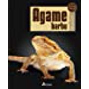 agame barbu