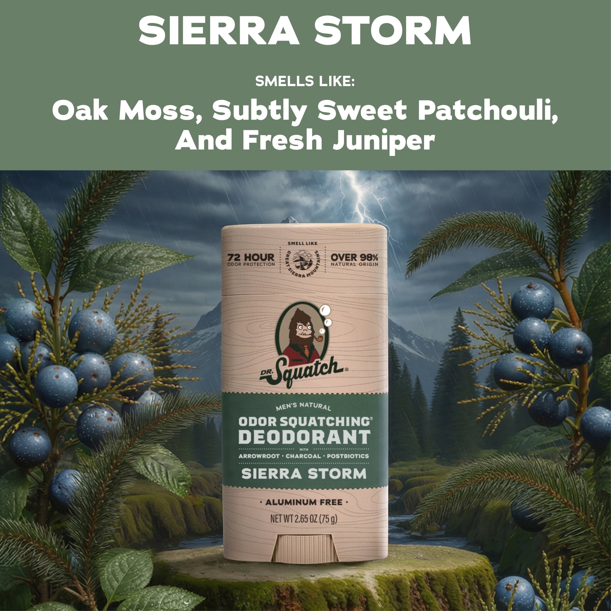 (2 pack) Dr. Squatch Mens Aluminum Free Deodorant, Natural Deodorant for Men, Sierra Storm, 2.65 Oz