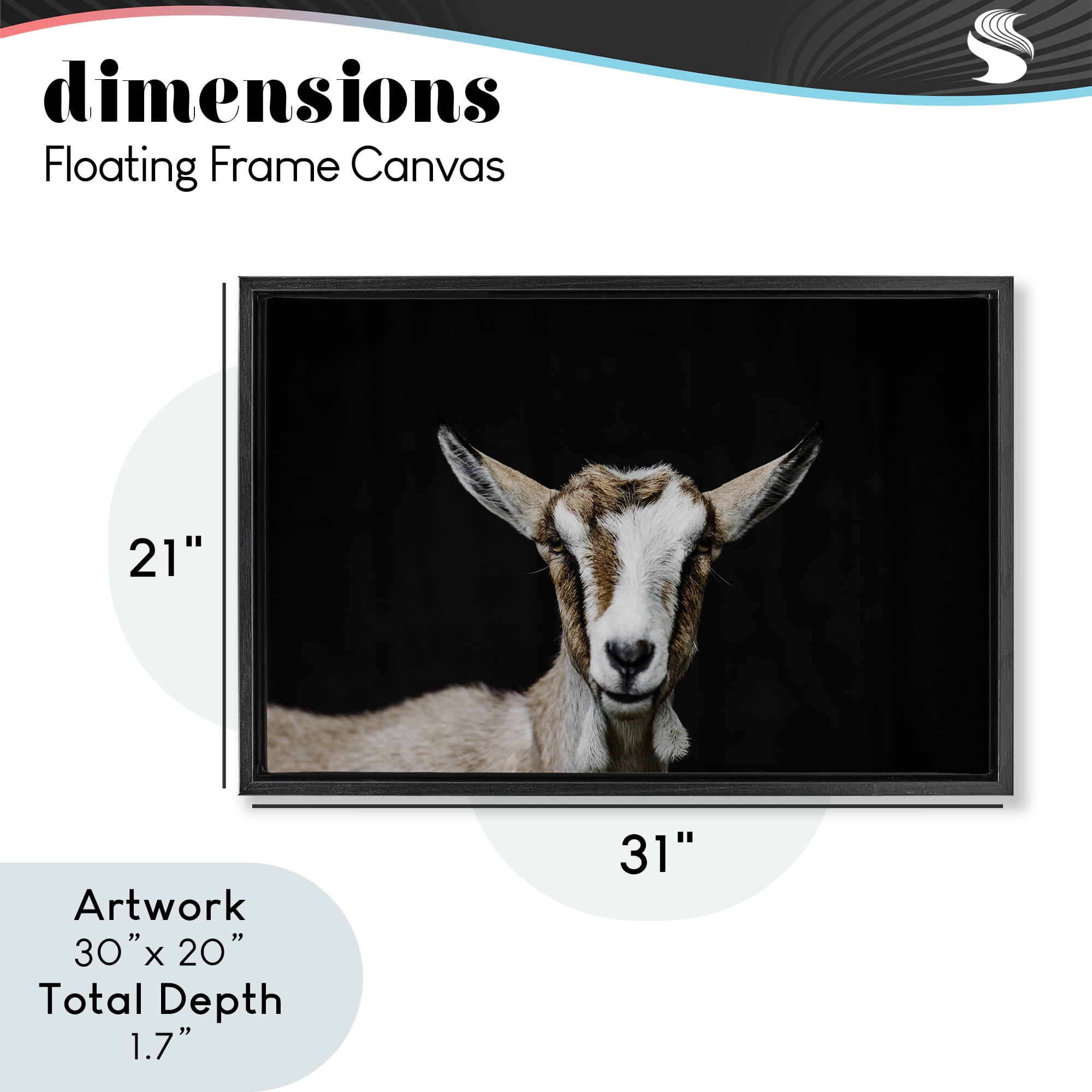 Goat Face over Black Black Framed Floater Canvas Wall Art, design by Amy Carroll