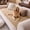 Coffee, variant on Nalqet 27.6×59.06 inch Plush Sofa Slipcovers Honeycomb Pattern for 2 Cushion Couches – Washable Fuzzy Non Slip Furniture Protector Couch Cover for Pets and Dogs Cats, Coffee