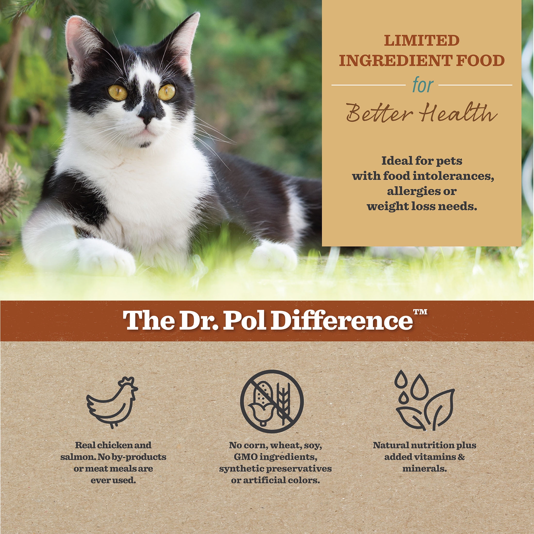 Best Dry Cat Best Cat Food For Food Allergies Dry Food Best