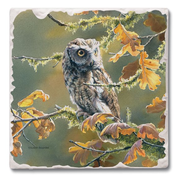 Thirstystone "Screech Owl" Single Tumbled Tile Stone Coaster