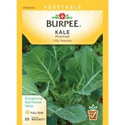 Burpee-Kale, Premier Seed Packet