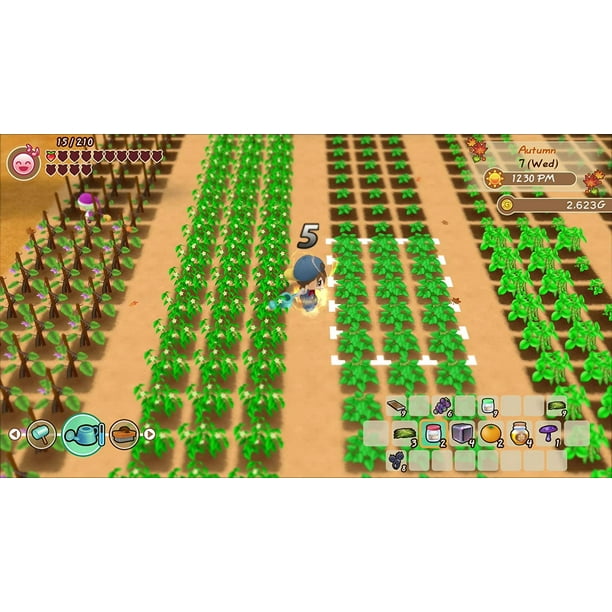 Story of seasons friends outlet of mineral town nintendo eshop