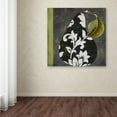 thumbnail image 3 of Trademark Fine Art "Decorative Pear II" Canvas Art by Color Bakery, 3 of 3