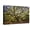 Canvas, variant on Art.com USA, South Carolina, Charleston, Angel Oak Photographic Print by Hollice Looney, 24" x 16"