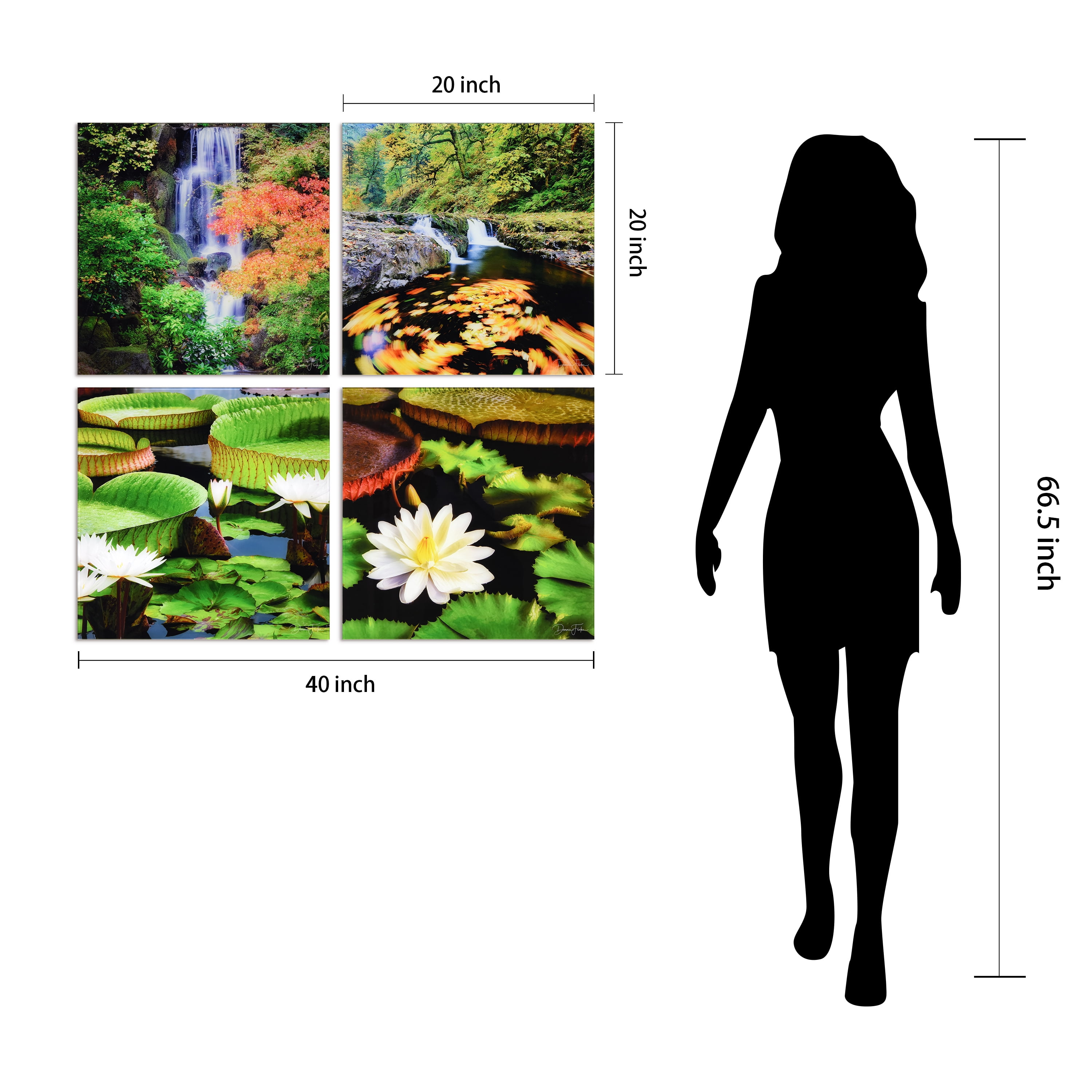 "Amazon's Water Lilies" Frameless Free Floating Reverse Printed Tempered Glass Nature Scapes Wall Art