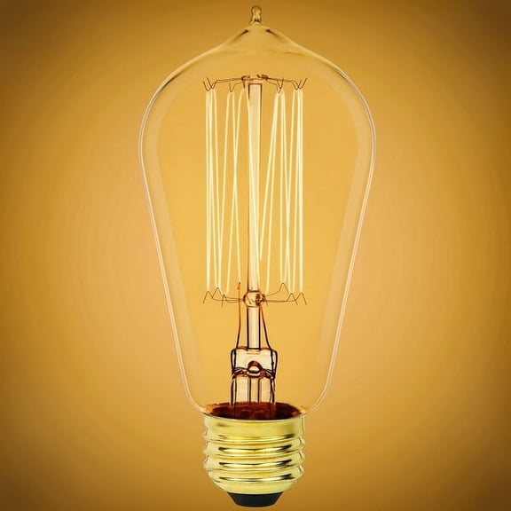SATCO S2413 Incandescent Vintage Style Light Bulbs 40W / 120V ST19 160L 2700K (6 Pack)