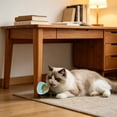 thumbnail image 4 of ZhangC Catnip Balls Cat, 360° Rotatable Catnip Wall Ball, Cat Nips Interactive Balls for Licking Boredom Relief Anxiety, Play Chew Teeth Cleaning for Indoor(Gray), 4 of 6