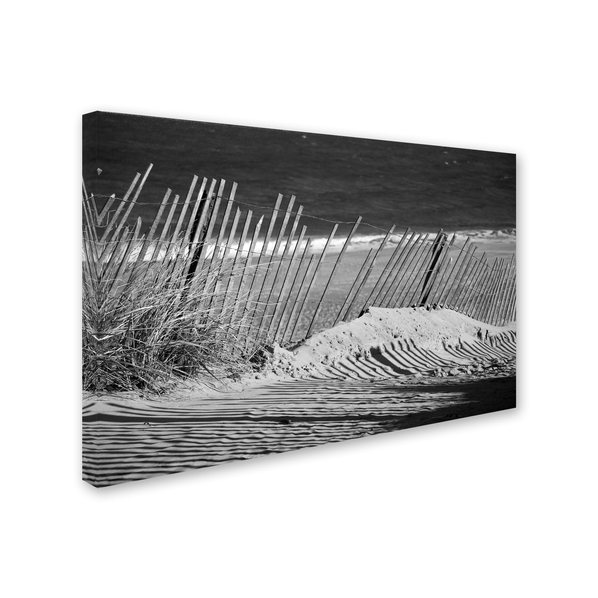 Trademark Fine Art 'Sandy Beach Fence' Canvas Art by PIPA Fine Art