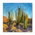 thumbnail image 1 of Cactus Bandana, Mountain Cactus Photo, Unisex Head and Neck Tie, by Ambesonne, 1 of 2