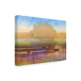 thumbnail image 2 of Trademark Fine Art 'Ducks in Soft Mist' Canvas Art by Chris Vest, 2 of 4