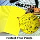 thumbnail image 2 of Yellow Sticky Fly Traps,fly Paper Stickers,sticky Fly Catchers Dual-side, 2 of 4