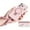 Pink, variant on For iPhone 17 Pro Max Case with Wristband,360°Rotating Ring,Magnetic Attraction,Anti-drop Liquid Silicone Mobile Phone Cover