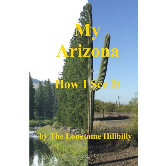 Arizona - How I See It (Paperback)
