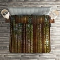 thumbnail image 2 of Ambesonne Nature Quilted Coverlet 3 Pcs, Redwood Forest Park USA, Queen Size, Redwood Yellow Green, 2 of 2