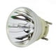 Remplacement de Lampe de Projecteur Original Philips pour Optoma BL-FP240G (Ampoule Seulement) – image 1 sur 5