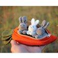 thumbnail image 2 of Monedero de zanahoria con tres conejos, regalo de conejito de Pascua, monedero de zanahoria, adorno divertido, 3 conejos en 3 colores y una zanahoria TUNC Sencillez, 2 of 5