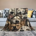 thumbnail image 2 of Orinice Cute Corgis Blanket Gifts for Corgi Lovers Grils Boys Puppy Corgi Dog Flannel Throw Blankets Soft Fuzzy Lightweight for Home Decor Couch Bed Sofa  50x60in, 2 of 6